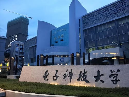 660分上了電子科技大學(xué),不料學(xué)費(fèi)居然高達(dá)100000,到底值不值